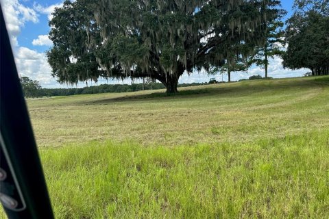 Terrain à vendre à Ocala, Floride № 1352631 - photo 20