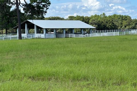 Land in Ocala, Florida № 1352631 - photo 6