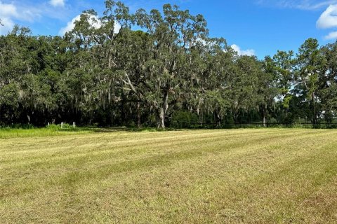 Terrain à vendre à Ocala, Floride № 1352631 - photo 14