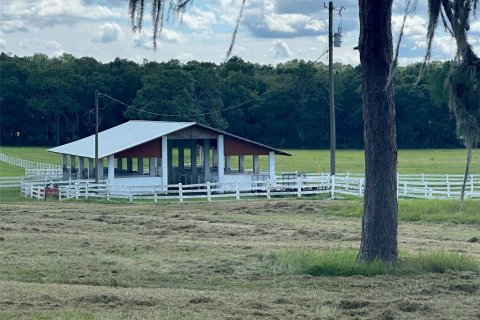 Land in Ocala, Florida № 1352631 - photo 18