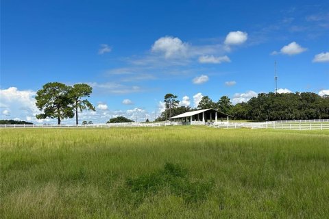 Terreno en venta en Ocala, Florida № 1352631 - foto 7