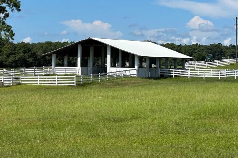 Land in Ocala, Florida № 1352631 - photo 2