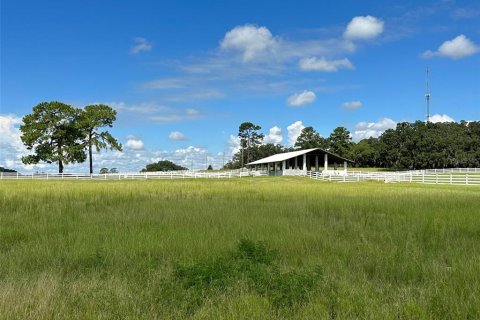 Terrain à vendre à Ocala, Floride № 1352631 - photo 8