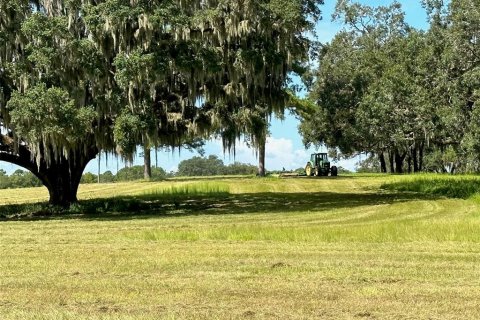 Terrain à vendre à Ocala, Floride № 1352631 - photo 11