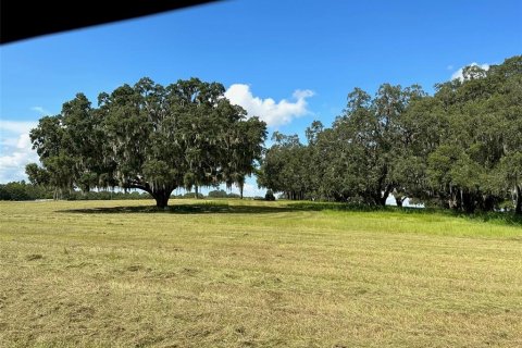 Land in Ocala, Florida № 1352631 - photo 13