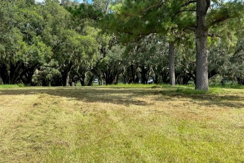 Terrain à vendre à Ocala, Floride № 1352631 - photo 16