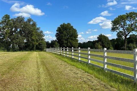 Land in Ocala, Florida № 1352631 - photo 15