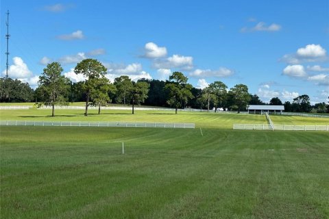 Land in Ocala, Florida № 1352631 - photo 5