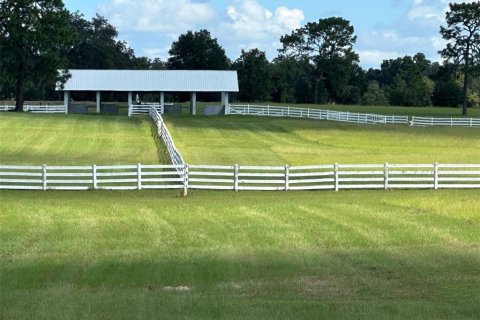 Terreno en venta en Ocala, Florida № 1352631 - foto 1