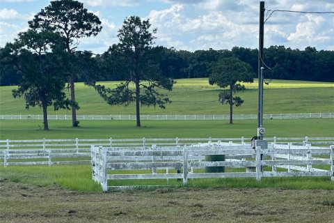 Land in Ocala, Florida № 1352631 - photo 17