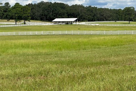 Terrain à vendre à Ocala, Floride № 1352631 - photo 19