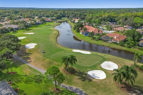 Villa ou maison à vendre à Oldsmar, Floride: 5 chambres, 323.3 m2 № 1340917 - photo 14