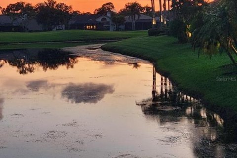 Villa ou maison à vendre à Oldsmar, Floride: 5 chambres, 323.3 m2 № 1340917 - photo 9