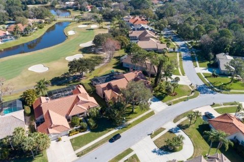 Villa ou maison à vendre à Oldsmar, Floride: 5 chambres, 323.3 m2 № 1340917 - photo 16