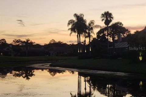 Villa ou maison à vendre à Oldsmar, Floride: 5 chambres, 323.3 m2 № 1340917 - photo 12