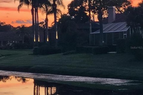 Villa ou maison à vendre à Oldsmar, Floride: 5 chambres, 323.3 m2 № 1340917 - photo 10