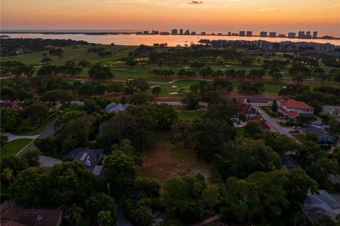 Land in Clearwater, Florida № 1340843 - photo 24