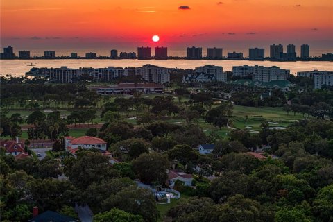 Land in Clearwater, Florida № 1340843 - photo 18