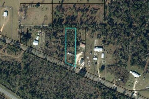 Land in Wewahitchka, Florida № 1354663 - photo 1