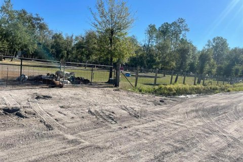 Terreno en venta en Lakeland, Florida № 1416897 - foto 2