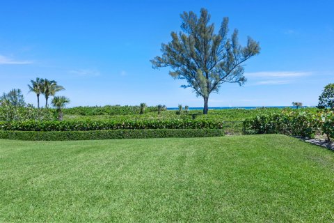 Villa ou maison à vendre à Palm Beach, Floride: 5 chambres, 434.32 m2 № 1159683 - photo 3