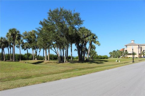 Land in Port Richey, Florida № 994425 - photo 1