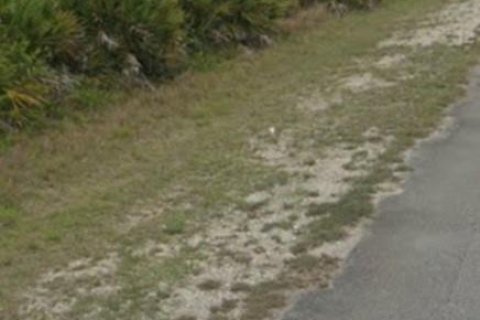 Terrain à vendre à Lehigh Acres, Floride № 1176995 - photo 1
