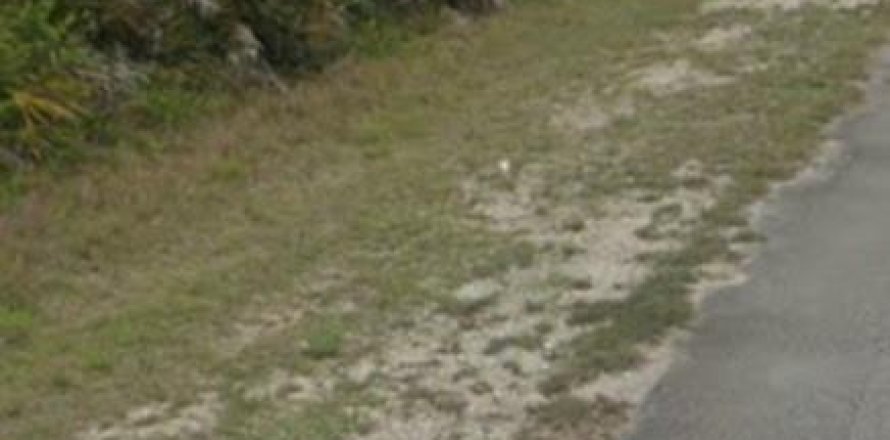 Terrain à Lehigh Acres, Floride № 1176995