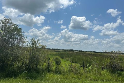 Land in Okeechobee, Florida № 691673 - photo 3