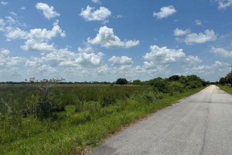 Terrain à vendre à Okeechobee, Floride № 691673 - photo 2