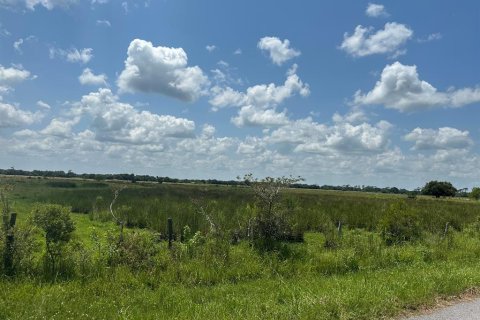 Купить земельный участок в Окичоби, Флорида № 691673 - фото 1
