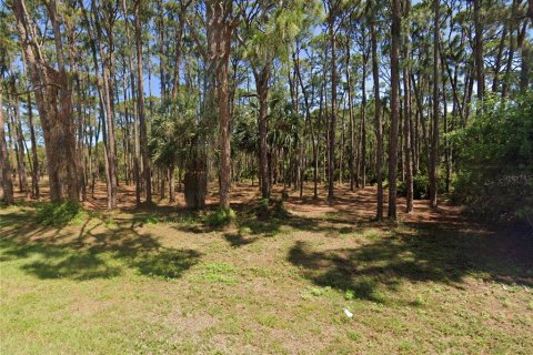 Terreno en venta en Englewood, Florida № 1123870 - foto 25