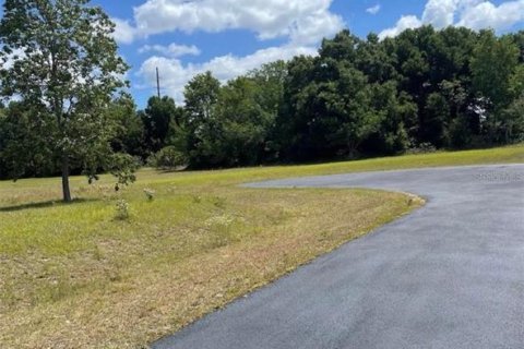 Terreno en venta en Ocala, Florida № 1386856 - foto 7