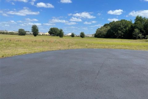 Terreno en venta en Ocala, Florida № 1386856 - foto 8