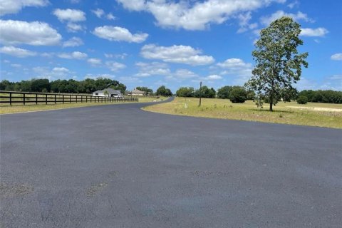 Terrain à vendre à Ocala, Floride № 1386856 - photo 6