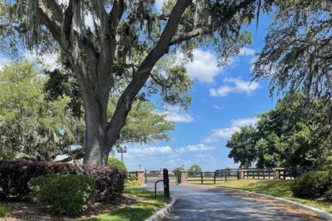 Terreno en venta en Ocala, Florida № 1386856 - foto 2