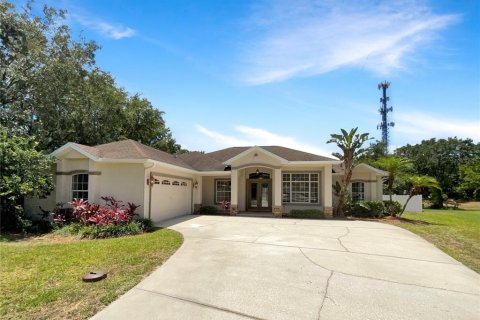 Villa ou maison à vendre à Lutz, Floride: 4 chambres, 266.54 m2 № 1203965 - photo 1