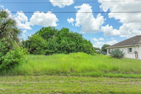 Купить земельный участок в Порт-Шарлотт, Флорида № 232464 - фото 2
