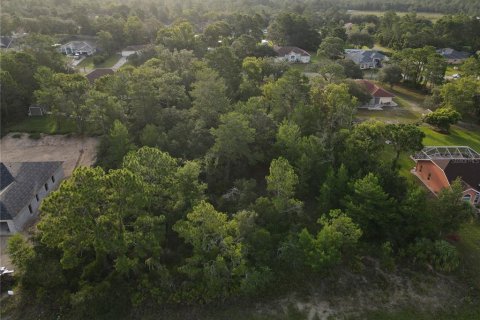 Land in Weeki Wachee, Florida № 1386414 - photo 5