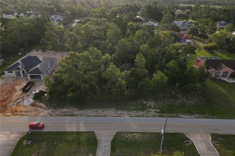 Land in Weeki Wachee, Florida № 1386414 - photo 4