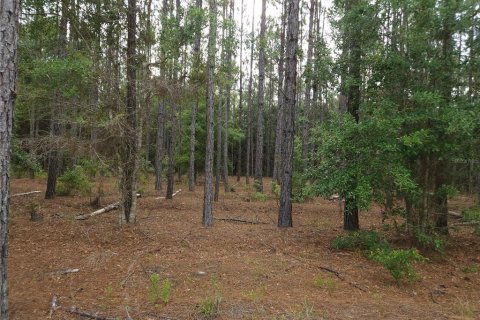 Terrain à vendre à Interlachen, Floride № 1295423 - photo 6