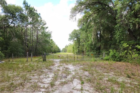 Land in Interlachen, Florida № 1295423 - photo 5