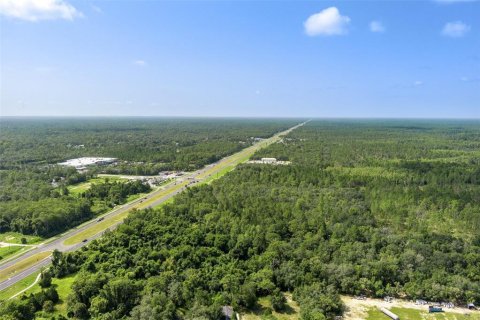 Terrain à vendre à Homosassa, Floride № 1295457 - photo 14