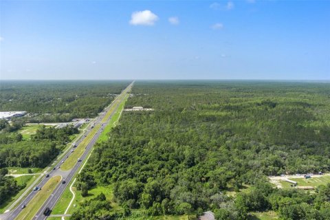 Terrain à vendre à Homosassa, Floride № 1295457 - photo 13