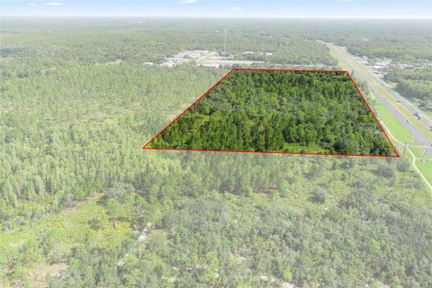 Terreno en venta en Homosassa, Florida № 1295457 - foto 2