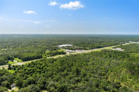 Terrain à vendre à Homosassa, Floride № 1295457 - photo 16