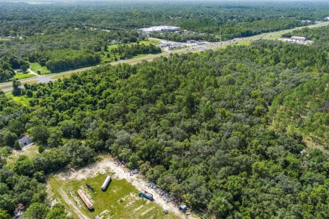 Land in Homosassa, Florida № 1295457 - photo 17