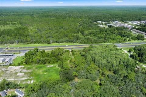 Land in Homosassa, Florida № 1295457 - photo 11