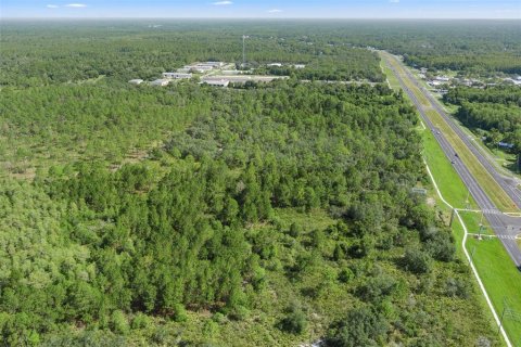 Terrain à vendre à Homosassa, Floride № 1295457 - photo 9