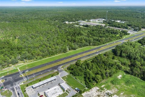 Land in Homosassa, Florida № 1295457 - photo 10